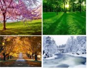 New Jersey four seasons collage